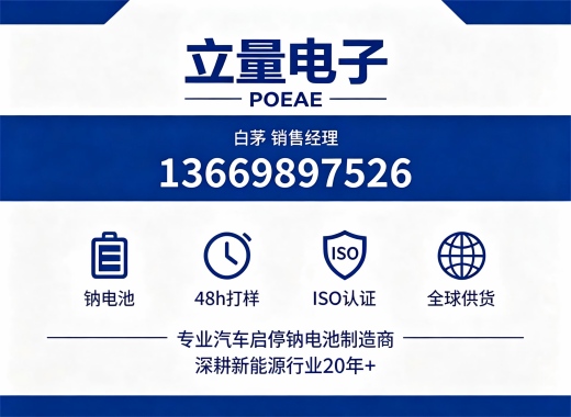 立量电子日照线上分站